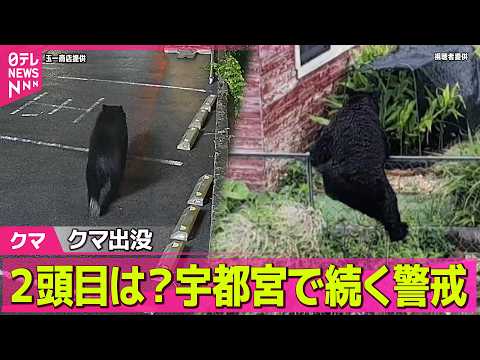 【クマ出没】宇都宮のクマ捕獲作戦“成功”も…緊迫の一部始終　2頭目は？…警戒続く（日テレNEWS LIVE） サムネイル