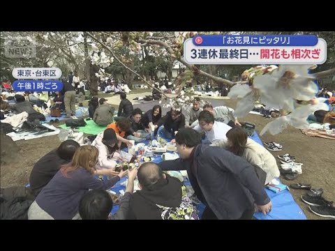 「お花見にピッタリ」　3連休最終日 桜の開花も進み“春”実感【スーパーJチャンネル】(2026年3月22日)
