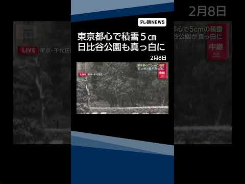 【ニュース】東京都心に5センチの積雪　一時は“横なぐり”日比谷公園も真っ白 shorts サムネイル