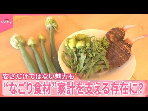 【“なごり”野菜･フルーツ】フードロス削減や家計支える存在に？｢大人の味に｣安さだけではない魅力も