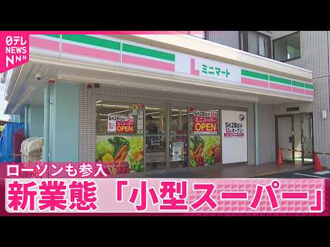 【小型スーパー】生鮮・冷凍食品など多く取り扱い  ローソンも参入  新業態1号店オープン サムネイル