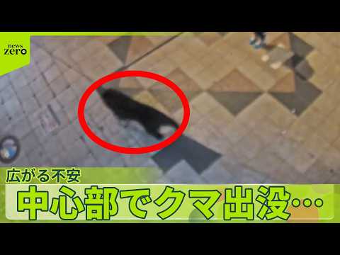 【宇都宮の中心部にクマ出没】学校近くで目撃との新たな通報も…緊迫続く サムネイル