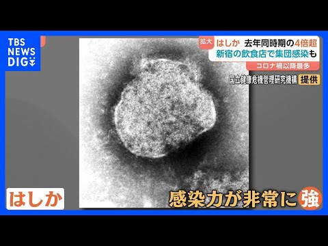 コロナ禍以降で最多…はしかが感染拡大　感染者が去年同時期の4倍超に　肺炎や中耳炎の恐れも【Nスタ】｜TBS NEWS…