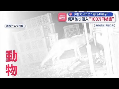 防犯カメラに「犯行の様子」 網戸破り侵入“100万円被害”山形【スーパーJチャンネル】(2026年4月30日) サムネイル