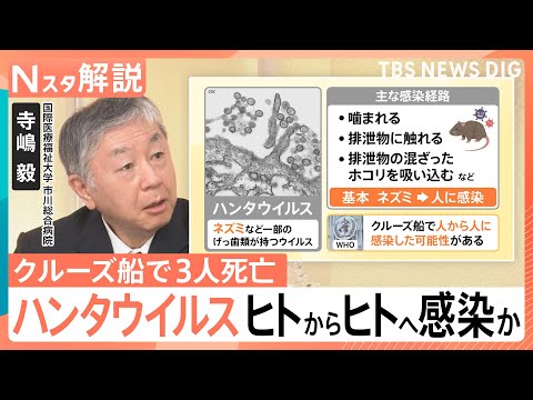 “ヒトからヒトへ”感染か　ハンタウイルスで3人死亡　致死率約40％の型も…日本での流行リスクは【Nスタ解説】｜TBS… サムネイル