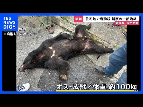 宇都宮のクマ捕獲「難しい任務だった」麻酔銃3発のうち1発が命中　周辺では“2頭目”の出没警戒…市立の小中学校は引き続き…