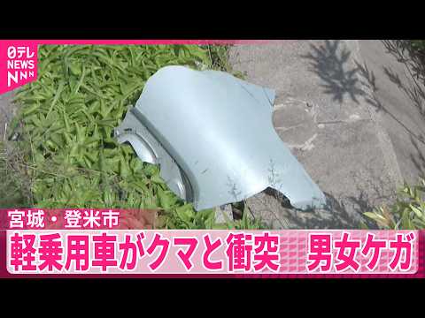 【衝突】軽乗用車とクマ　男女ケガ、クマは死ぬ　宮城・登米市 サムネイル