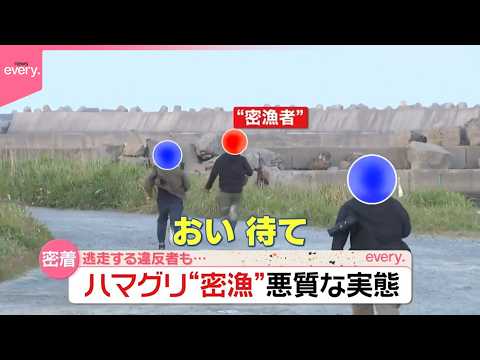 【悪質な実態】ハマグリや伊勢エビ狙う“密漁”  逃走する違反者も…  海上保安庁の取り締まりに密着『気になる！』 サムネイル