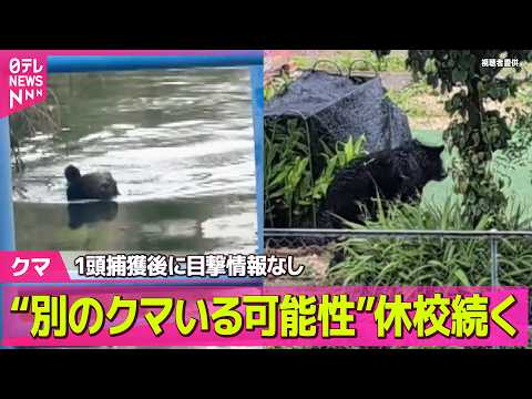 【クマ出没】“別のクマいる可能性”休校続く  1頭捕獲後に新たな目撃情報なし　栃木・宇都宮市（日テレNEWS LIVE） サムネイル