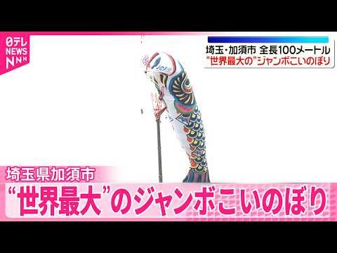 【全長100メートル】“世界最大”のジャンボこいのぼり　多くの人でにぎわい　埼玉・加須市 サムネイル