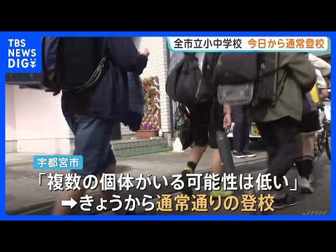 「友達に会えなくて寂しかった」クマ捕獲の栃木・宇都宮市　すべての市立小中学校で通常登校　捕獲以降、目撃情報は寄せられず… サムネイル