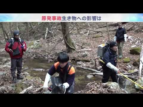 2026年3月21日「報道特集」予告 サムネイル