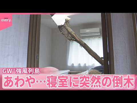 【GW“強風列島”】交通やイベントに打撃  寝室に突然の倒木も「命があってよかった」 サムネイル