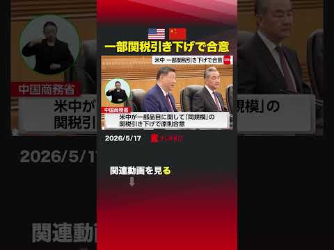 アメリカと中国 一部関税引き下げで合意 中国 アメリカ トランプ大統領 習近平国家主席 関税 サムネイル