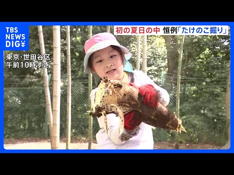 「重い！重い！」毎年恒例のタケノコ掘り　親子42人が参加　東京・等々力渓谷｜TBS NEWS DIG