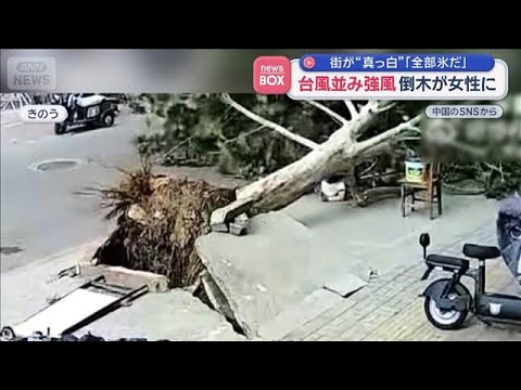 台風並み強風　倒木が女性に　町が“真っ白”「全部氷だ」　中国【スーパーJチャンネル】(2026年6月5日) サムネイル