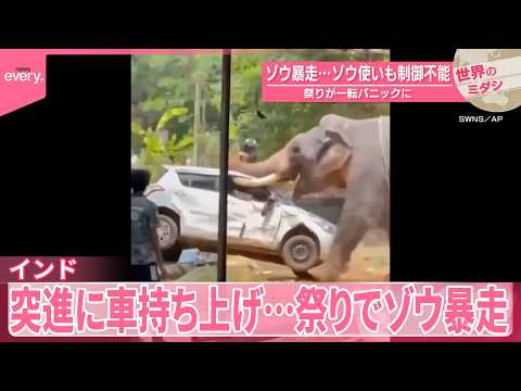 【インド】ゾウ暴走…ゾウ使いも制御不能  祭りが一転パニックに『世界のミダシ』 サムネイル