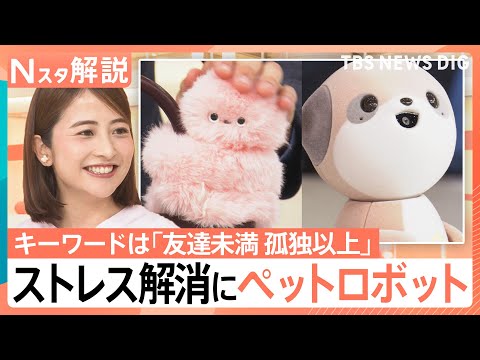 孤独は嫌…でもストレスなしのコミュニケーションをとりたい！「友達未満 孤独以上」のペットロボット【Nスタ解説】｜TBS… サムネイル