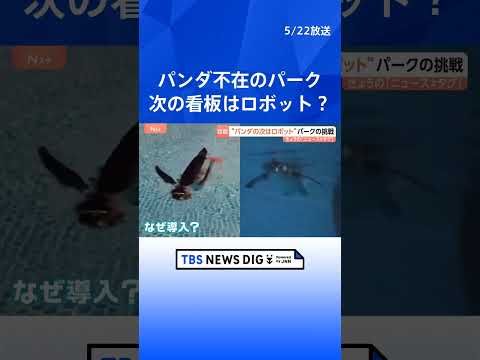 「ペンギンロボット」が新たな看板に？パンダがいなくなったアドベンチャーワールドが仕掛ける“意外”なもの｜TBS NEW… サムネイル