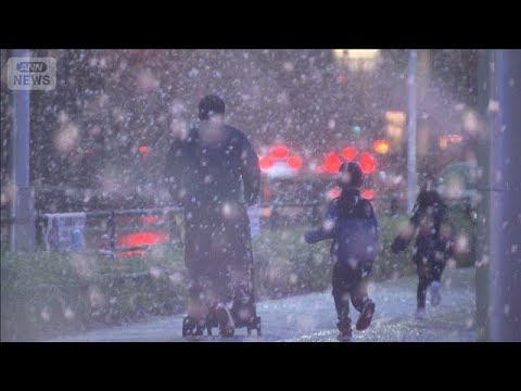 東京都心は初雪が積雪に　路面凍結やスリップ事故注意(2026年1月2日) サムネイル