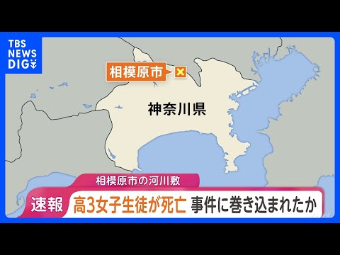 【速報】神奈川・相模原市の河川敷で「未成年の女性が倒れている」　座間市の高3女子生徒（17）が死亡　前夜に家族から“帰… サムネイル