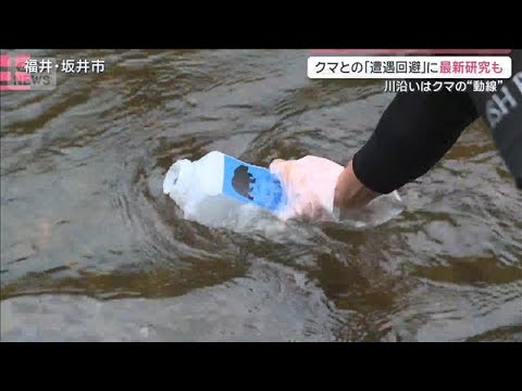 “山レジャー”本格化 課題はクマとの遭遇回避 注目の最新研究とは？【サタデーステーション】(2026年5月2日) サムネイル