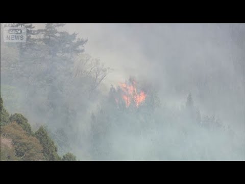 岩手・大槌町山火事　発生5日目も火の勢い収まらず　1300ヘクタール超焼失(2026年4月26日) サムネイル