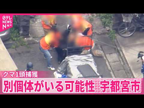 【クマ】10日も市立の全小中学校で休校に  1頭捕獲も…別個体いる可能性  宇都宮市