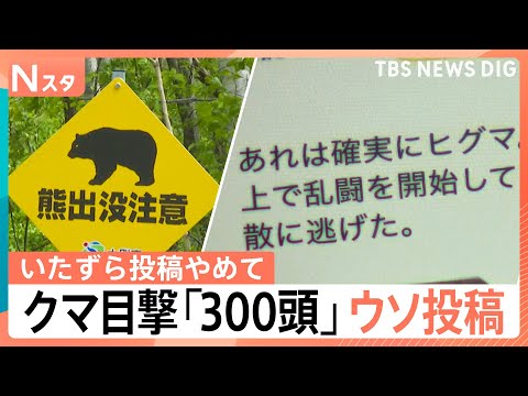 クマ被害相次ぐなか…「クマが線路で乱闘」「300頭目撃した」出没情報にウソ投稿で自治体の業務圧迫も【Nスタ解説】｜TB… サムネイル