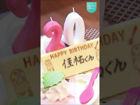 【NNNドキュメント】家族全員を失ったけど…"ひとりじゃない" ボクとおばちゃん 震災から15年の歩み　NNNセレクシ…