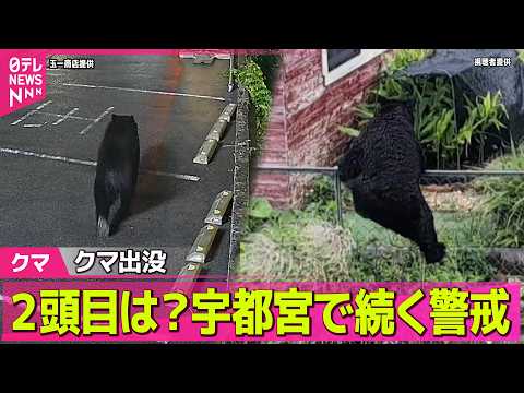 【クマ出没】宇都宮のクマ捕獲作戦“成功”も…緊迫の一部始終　2頭目は？…警戒続く（日テレNEWS LIVE） サムネイル