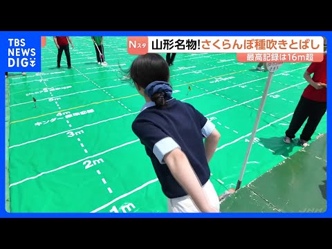 山形名物！さくらんぼ種吹きとばし大会　1000人超がエントリー　最高記録は16.4メートル　山形・寒河江市｜TBS N… サムネイル