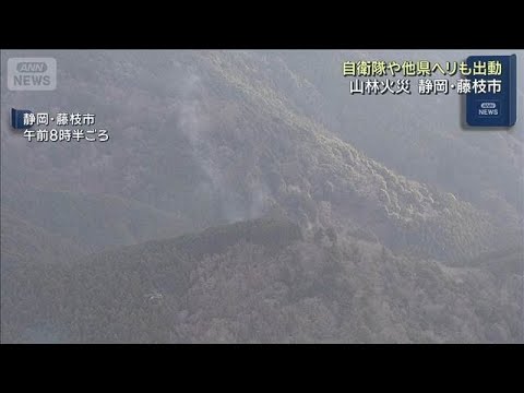 山林火災　消火活動続く　自衛隊や他県のヘリも　静岡・藤枝市(2026年1月19日) サムネイル