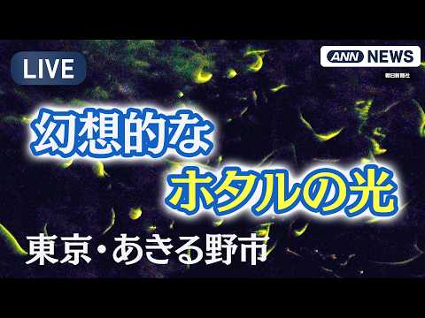 【ライブ】初夏を告げる幻想的な光「ホタルの里」南郷用水 東京・あきる野市　Magical Fireflies in T… サムネイル