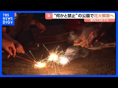 夏の到来を前に「公園での花火」解禁の動き “予約”が必要なケースも 街の人たちの受け止めは？｜TBS NEWS DIG サムネイル