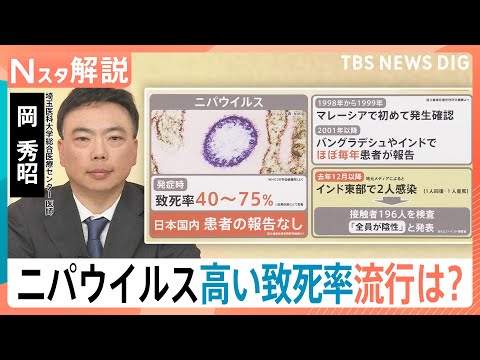 高い致死率「ニパウイルス」アジア各国で流行の懸念　ワクチン・特効薬なし…日本への流入リスクは？【Nスタ解説】｜TBS… サムネイル