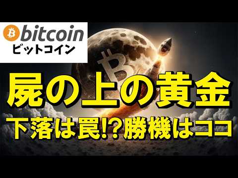 【緊急事態】ビットコイン下落の危機！？…だが待て、大衆の屍の山に隠された「一発逆転の黄金ルート」がここにある！（朝活2… サムネイル