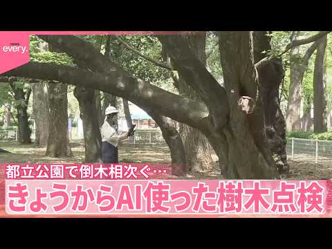 【倒木相次ぎ】都立公園でAI使った樹木点検を試験的に開始 サムネイル