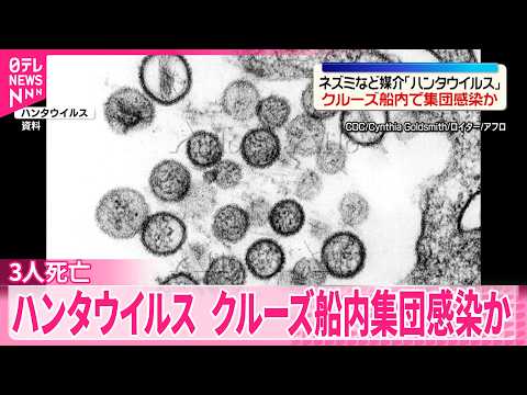 【ハンタウイルス】ネズミなどが媒介  大西洋航行中のクルーズ船内で集団感染か  3人死亡 サムネイル