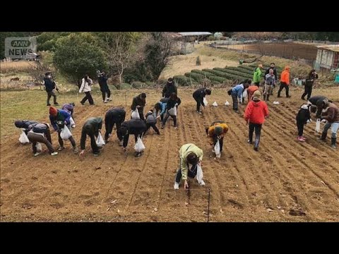 クマのためにドングリ増やせ　「山を元に戻すのは人間の仕事」ベテラン猟師の取り組み【グッド！モーニング】(2025年12…