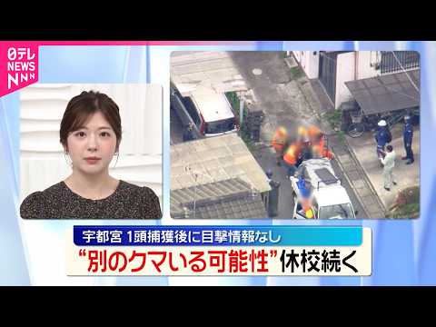 【クマ】1頭捕獲後に新たな目撃情報なしも休校続く  栃木･宇都宮 サムネイル