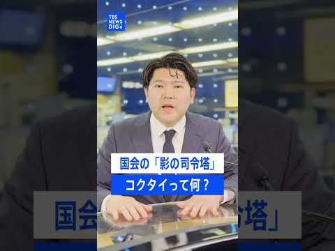 国会の「影の司令塔」国対とは？法案成立に欠かせない実力者揃いの「根回し部隊」｜TBS NEWS DIG shorts サムネイル