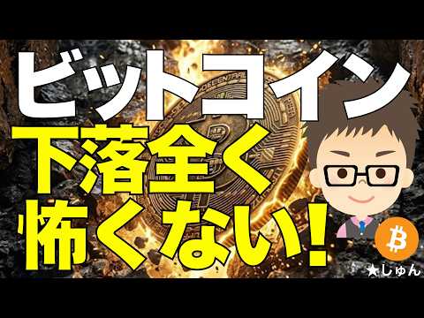 ビットコイン（BTC）下落は全く怖くない！ サムネイル