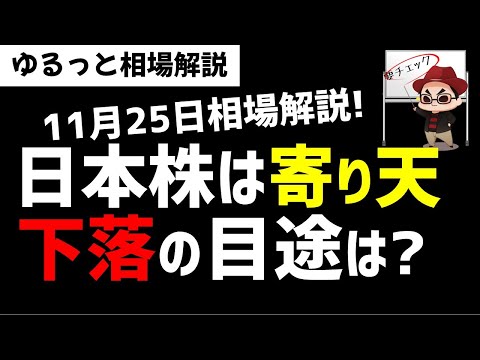 【11月25日のゆるっと相場解説】日本株は寄り天！米株より弱い？下落の目途は？ズボラ株投資 サムネイル