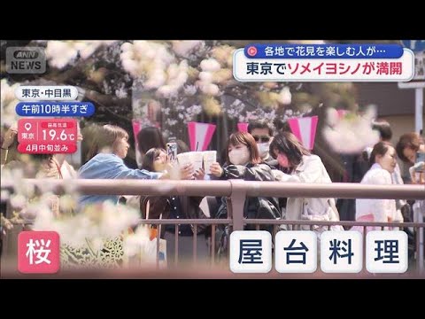 各地で桜が見ごろ 花見を楽しむ人も 東京ではソメイヨシノが満開　【スーパーJチャンネル】(2026年3月28日)