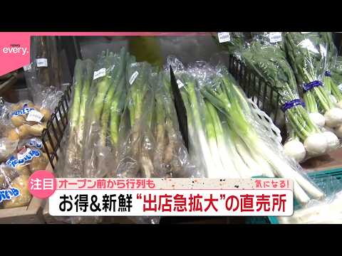 【お得＆新鮮！】東京や埼玉で“出店急拡大”の直売所  オープン前から行列も『気になる！』 サムネイル