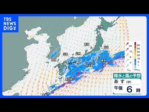 きょう（31日）もさくらが開花・満開ラッシュ 「花開いて風雨多し」新年度のあす（1日）も雨スタート｜TBS NEWS…