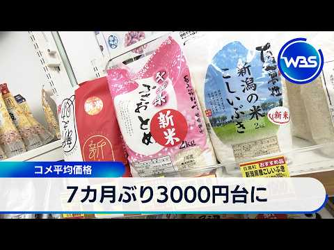7カ月ぶり3000円台に コメ平均価格【WBS】