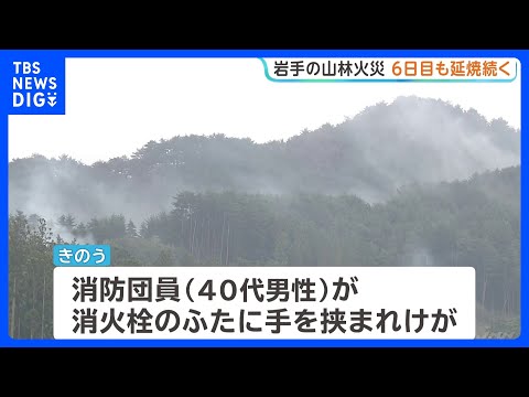 岩手・大槌町山林火災　6日目も延焼続き三陸沿岸道路は一部通行止めに　消防団員1人が消火活動中にけが｜TBS NEWS… サムネイル
