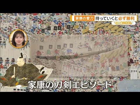 家康眠る神社 貴重宝物“伝説の刀剣”豊臣家滅ぼした？火縄銃も【グッド！いちおし】【グッド！モーニング】(2026年1月… サムネイル